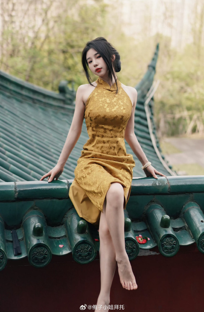 雍正王朝